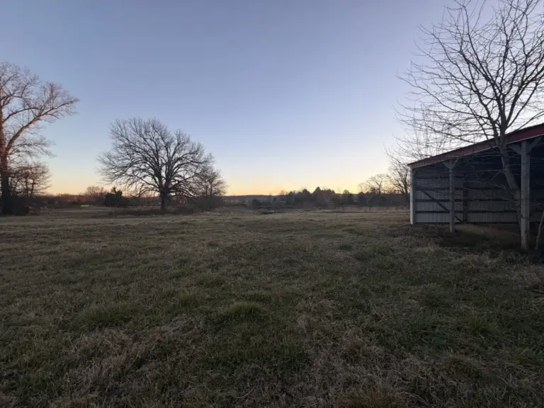 29_7f982b01-0f2d-4793-ba1a-63162b04a615