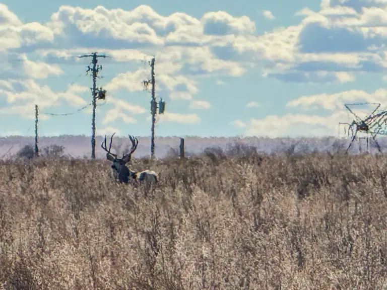 31_144fd2d5-1295-4bd5-945e-682271041b77