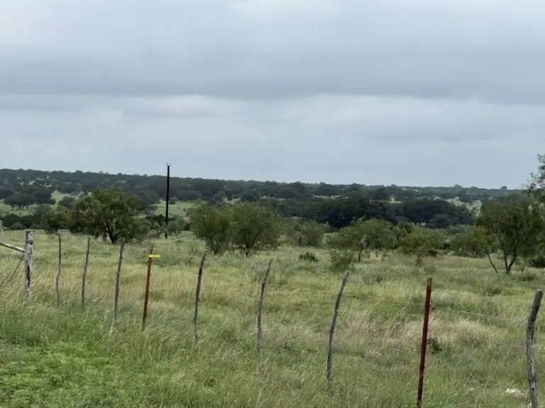 31_996e0cf1-dde2-4cdd-a1c8-fa3a3bcdc7ae