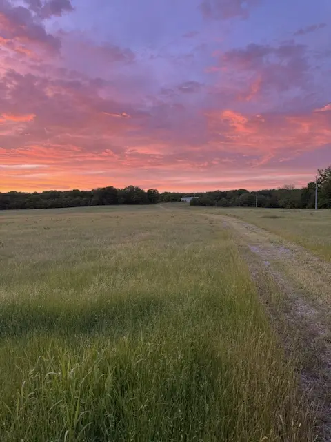 33_5bc80624-151f-440c-8540-130d32b2ed73