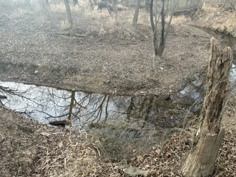 36_0369cbe3-2f85-4a45-ad5d-f8963f027f9d