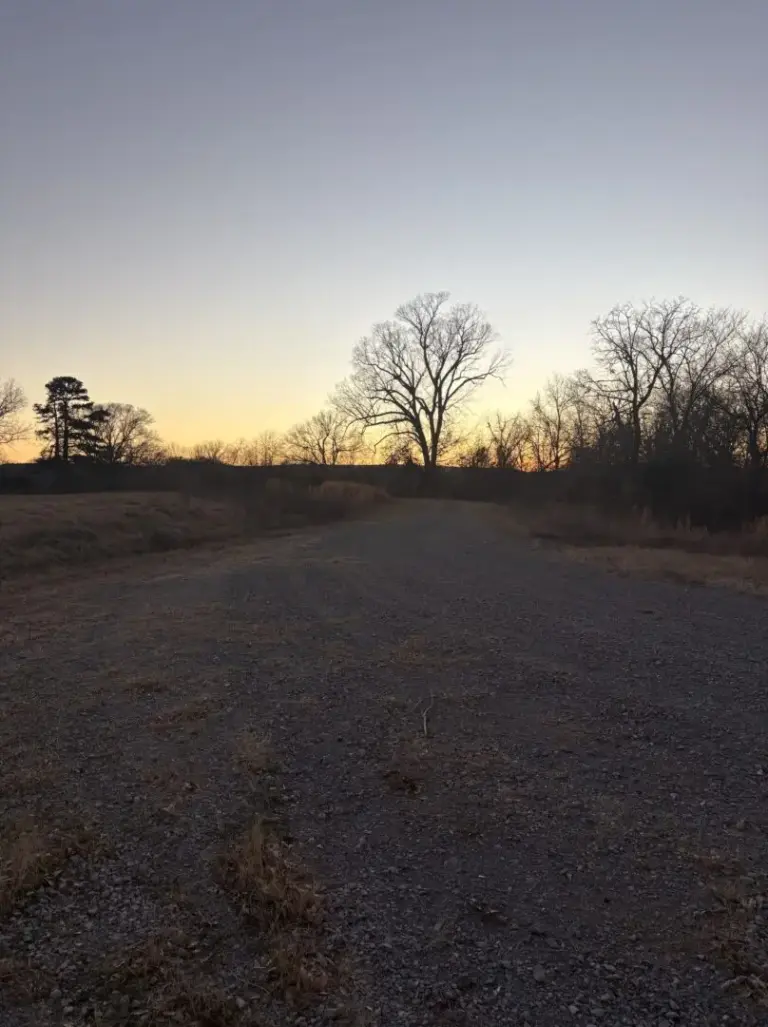 38_08aaf7f4-46e3-4a6c-a9bb-9bbb4affe9d5