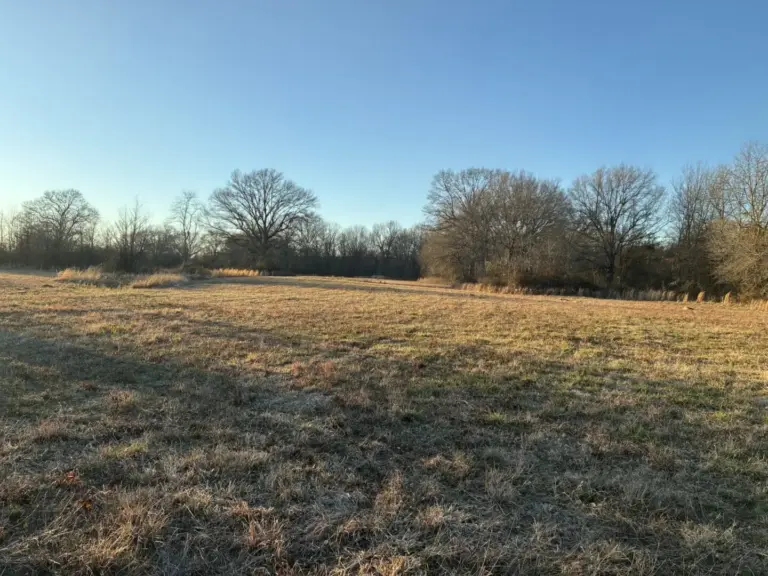 40_e1757710-6b28-41d8-b71c-360c0b53ee53