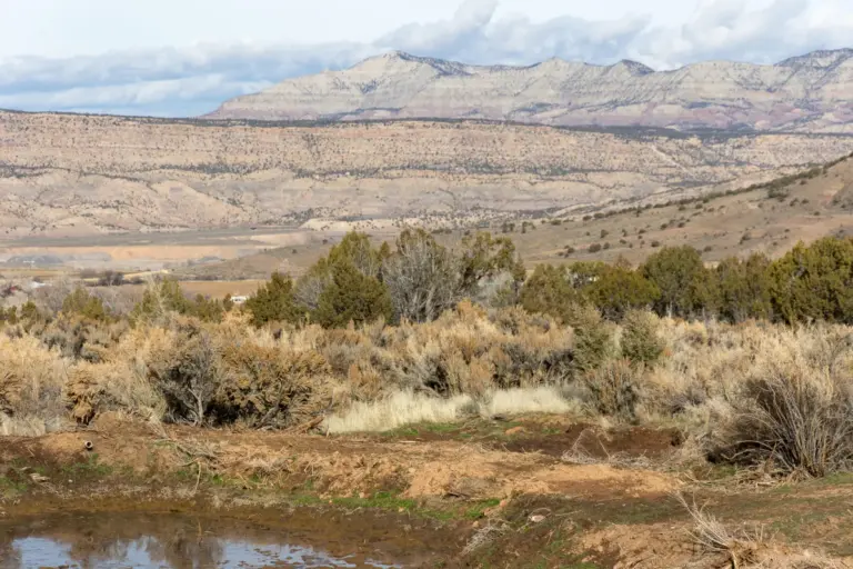 40_f1c6a92e-6133-4c20-87e7-363255b517cb