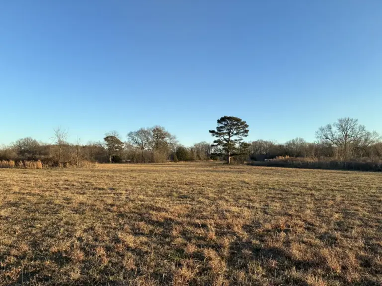 42_e205636f-8b91-406e-b7da-e8e2df0baaf8