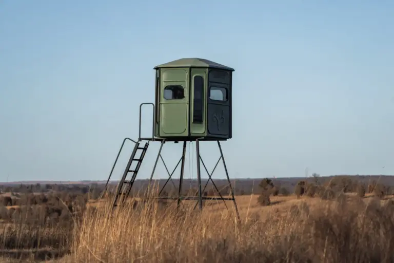 43_d80dbd93-bad7-45ad-b62c-194b6b0ee9c1