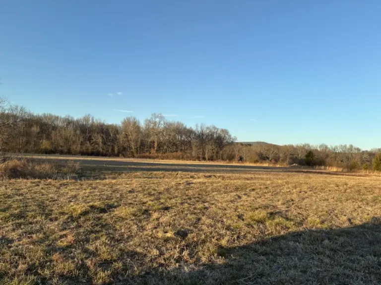 43_f795a51c-20c8-4359-bbf9-8165d8b913ec