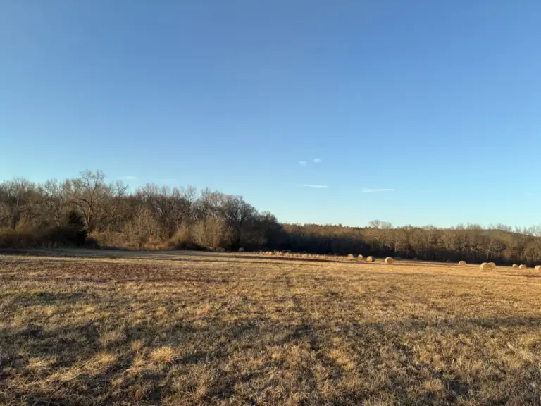 44_874e6194-d77f-4f1c-883b-a8c7fdc76e27