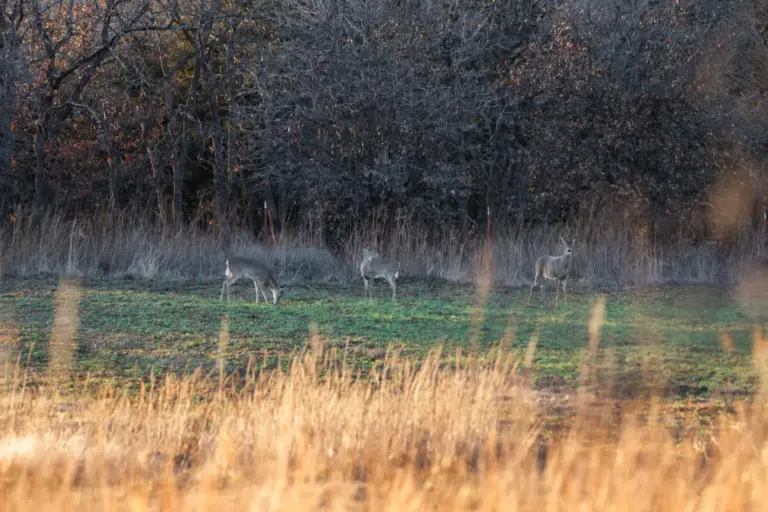 44_921028b5-2c40-4282-bee1-859592d809df