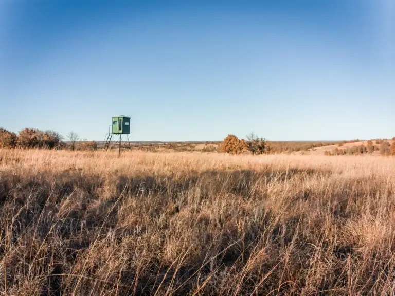 1_1.810480_10262.044_10262.044_4010.158_2998.183_-0.154_-0.017_89.619_0.000000_0.000000_0.000000_0.60950291_-4.19976234_9.60663319_0.00000000_0.00000000_8064_6048_89_197632 0.002930_-0.001953_0.019531_0.005326_0.006392_-0.006392