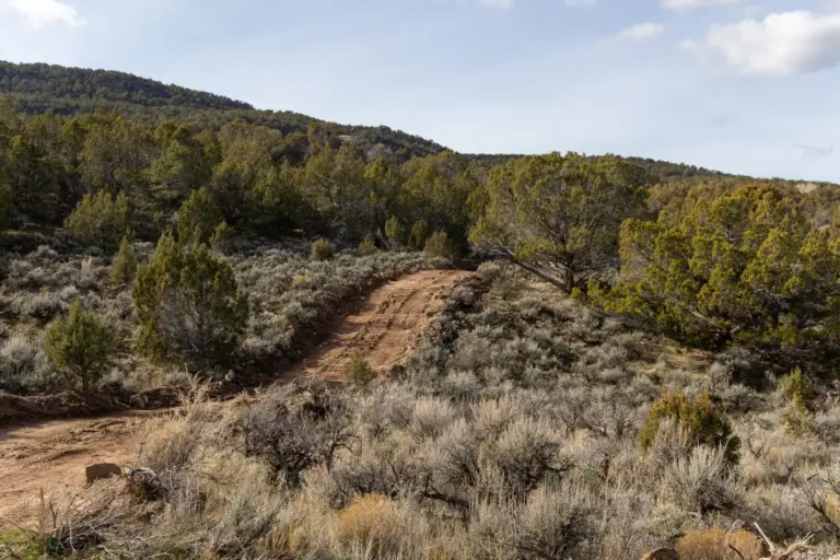 46_668ed7a1-c3c2-4ff7-a957-3a7a3bc28a36