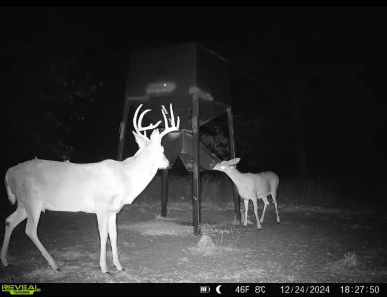 47_509d2698-4a8b-4f12-b317-b02ea79b2aeb