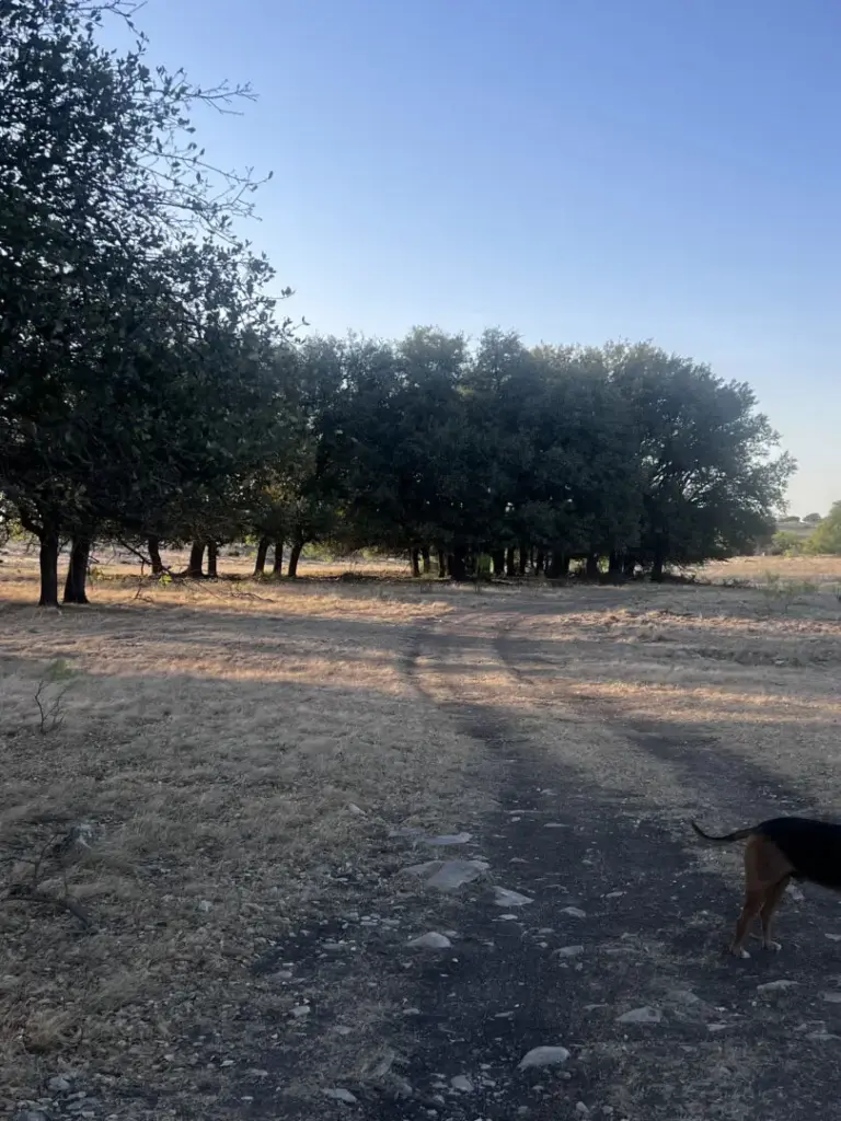 48_289c0dd5-08d0-4078-8e77-e71735ef142c