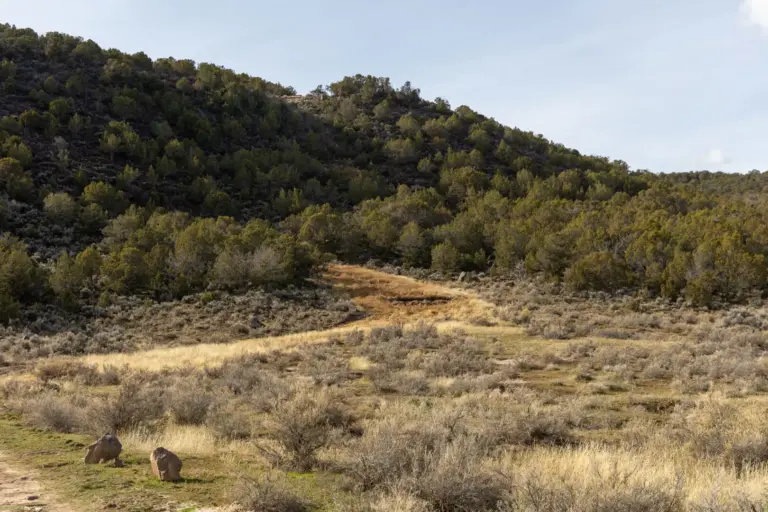 48_5a7f9cb0-1155-4f34-a108-2cc78b17c20e