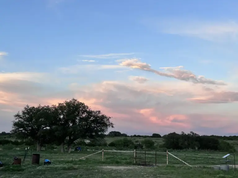 49_38ae8964-ed81-420d-bbd9-5f8b26e9b89d