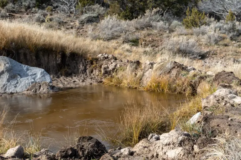 49_af424d21-bb69-45db-b6c5-580323a4c80a