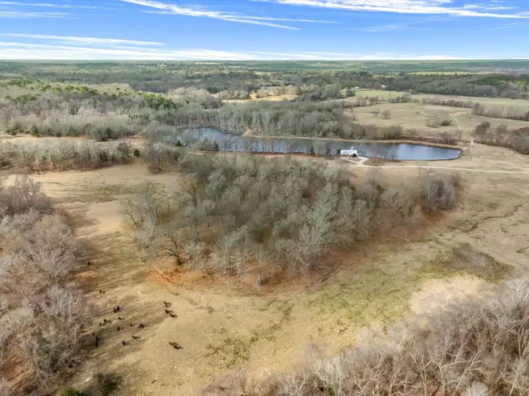 49_be0ce43d-7e0b-4e91-a482-4b87f441b519