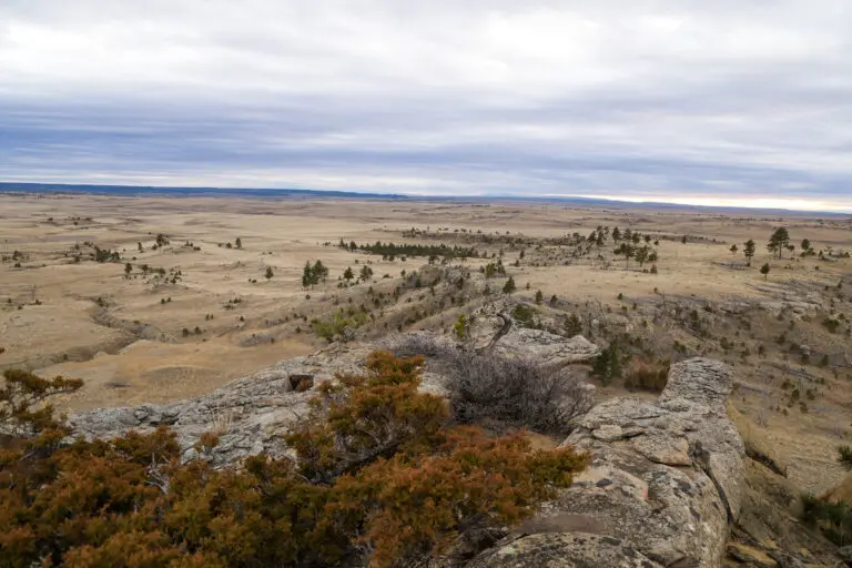 02_b04a7cef-118c-473a-bec8-276363d4253e