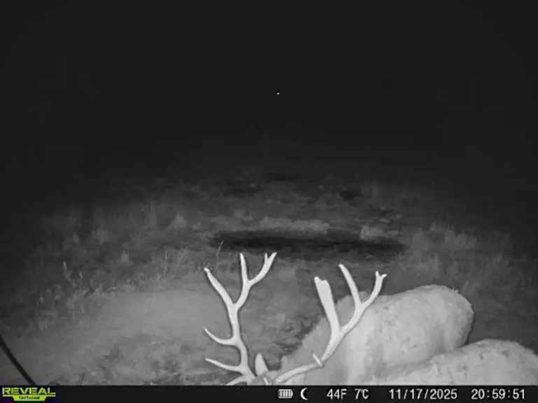 03_178ceeab-6a20-4292-bdc9-eea15d297451