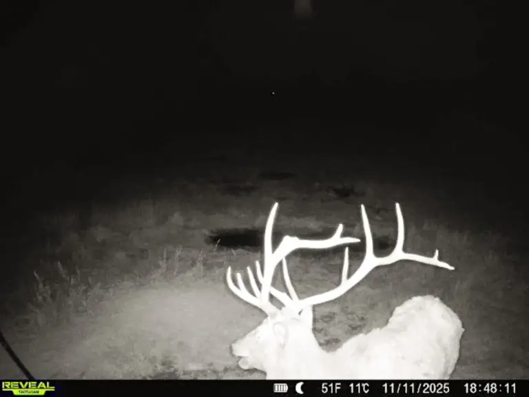 05_b0a28509-1c97-4fe8-ae95-1f1fc99e23a8