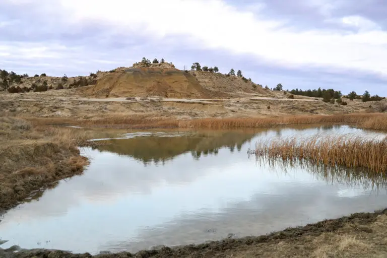 05_bc444551-9a28-4183-9641-e151dfdb1407