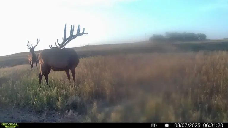 05_d6ba4da2-ae43-467a-b29a-0aed9ab5d551