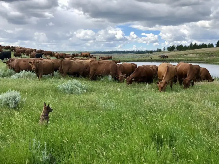 06_0e362784-0fe7-4ea0-99f4-f61638cdfc3a