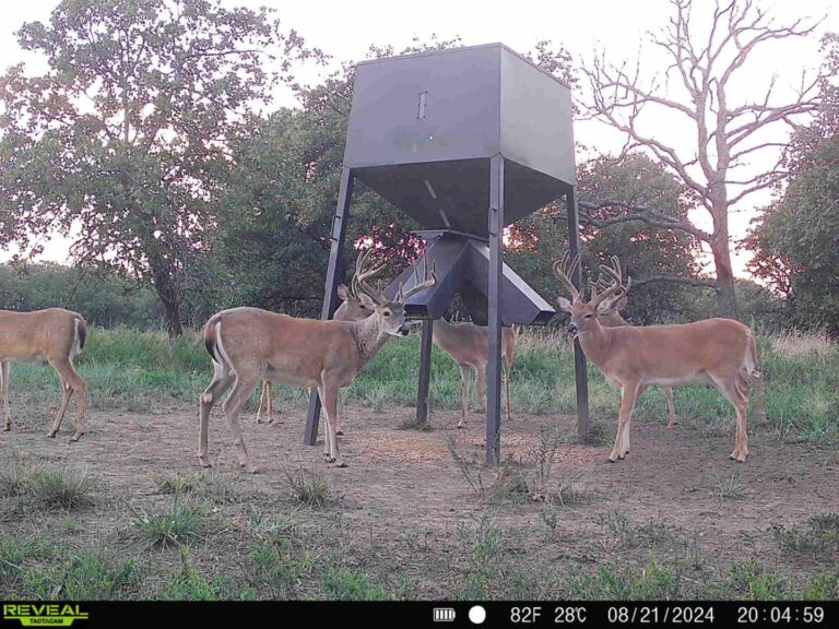 06_173a3f20-b166-46f2-b68f-7782104542b2