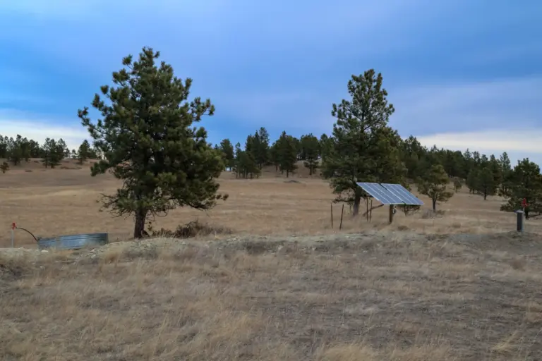 06_e0cb3fdb-decd-45a0-9466-9a296cc0d377