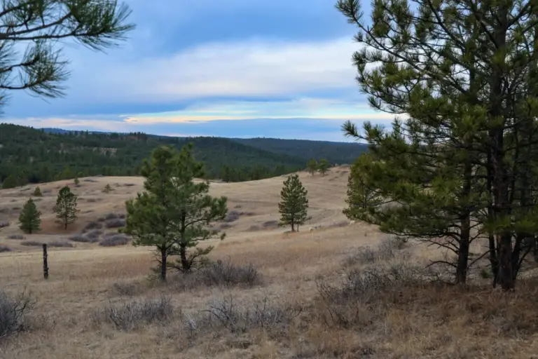 07_66bb6ae7-9355-4fde-9655-b677a2f33e4a