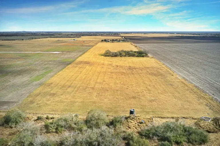 07_68f79fb1-8d3c-42b4-9e7a-e9e6fec1e721