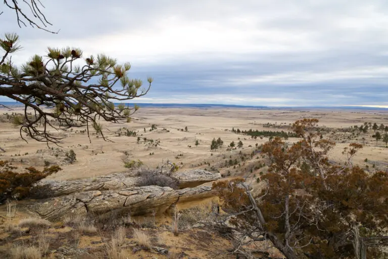 07_aee8b864-cdec-4bda-803d-d1bce076f9b1