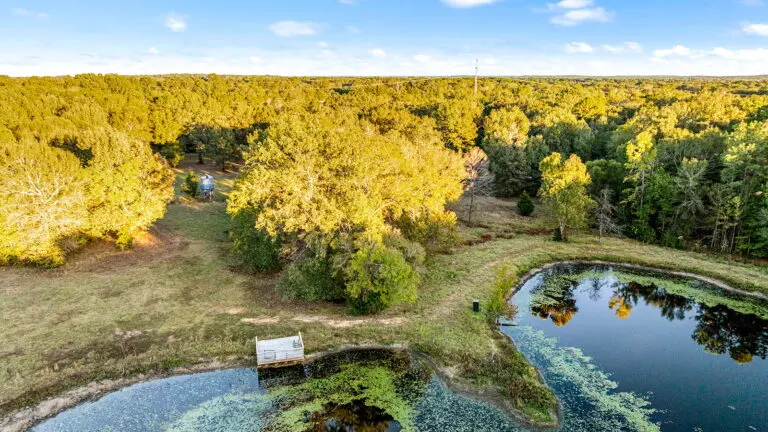 08_015830f5-a088-4772-870f-72b5a369cdc8