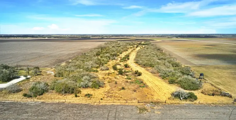 08_4e91c2da-6574-4055-81d2-66f789dfe300