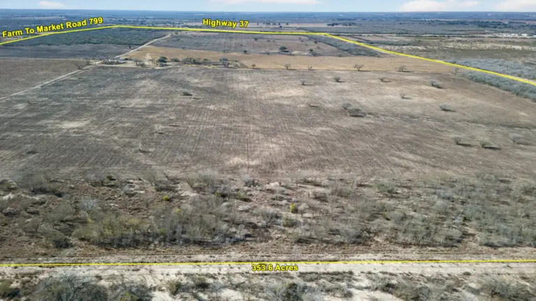 08_746902f0-ba83-4a8c-a43b-fc5dc0798e76