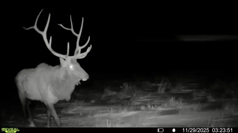 08_b7ba2150-44ee-4e12-9f0b-f39cd3ccd96b