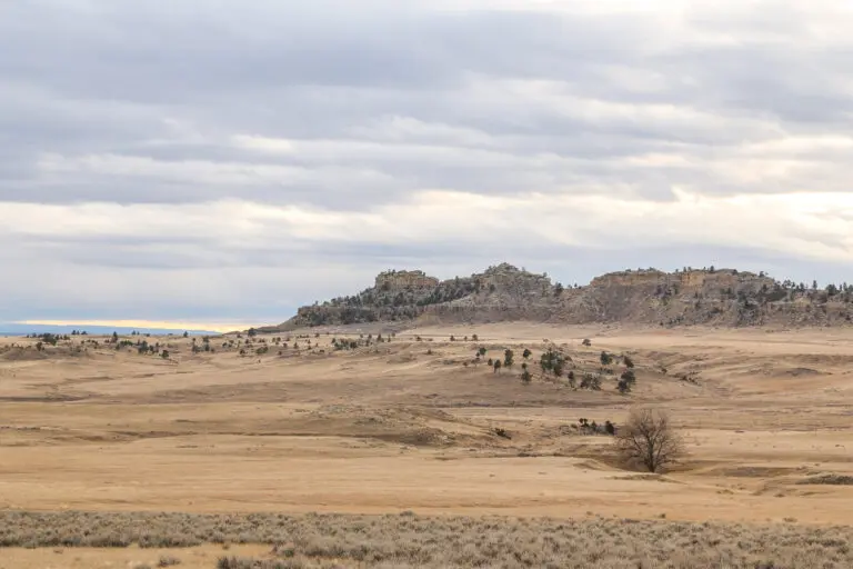 08_d2b4fade-6096-449b-975b-fd6347051738