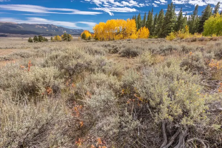 09_10cbc478-aa53-4caa-9902-b735715aa273