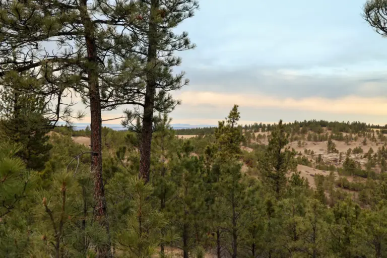 09_34ce18cc-0858-4c44-8212-20654daa1871