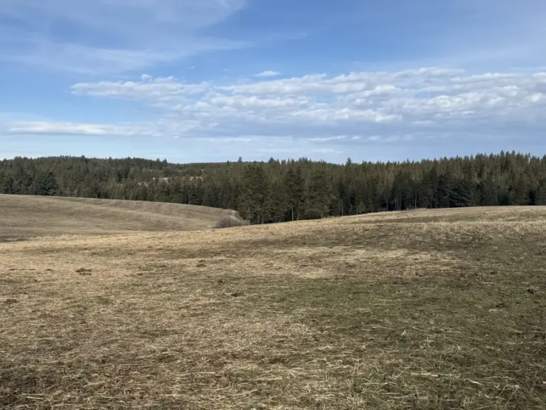 09_6913d16c-c763-457b-a824-e1ac731a6737