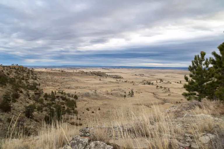 09_984a9227-164c-46a4-a487-1b0af47398bf