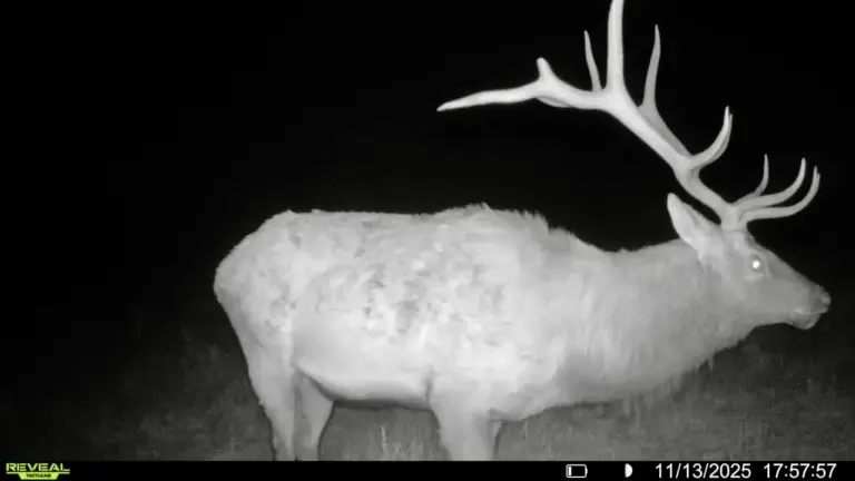 09_9d4e1f42-324e-4ee1-b2d4-ec8dc3cbe5ef