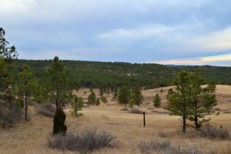 10_621e240b-0598-4f56-bd21-72002379ffb4