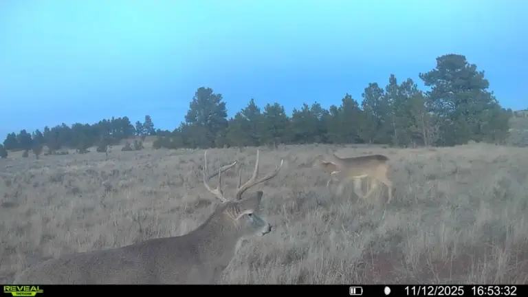 10_73595ba3-6eff-4073-8233-bd0654856f3c