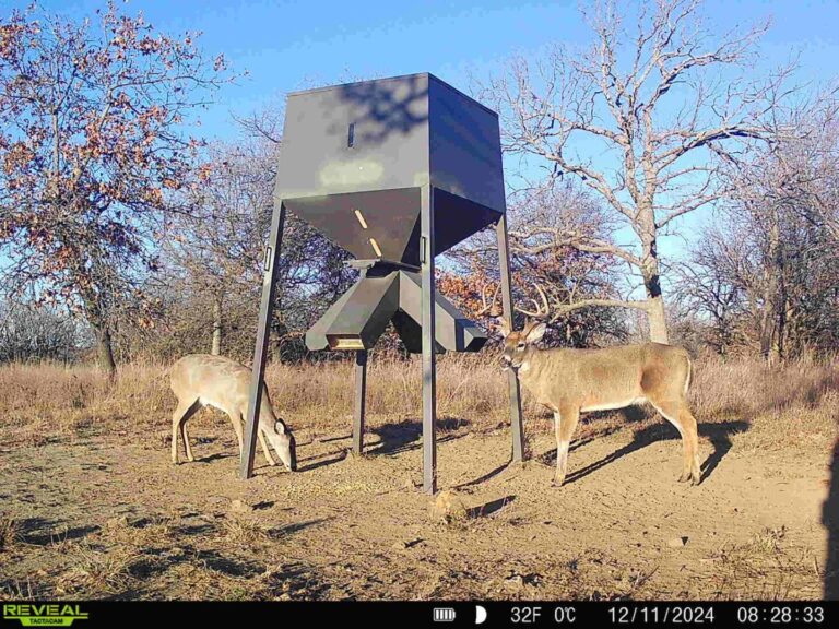 10_7400f120-d395-45f0-89b2-6ecf5991b339