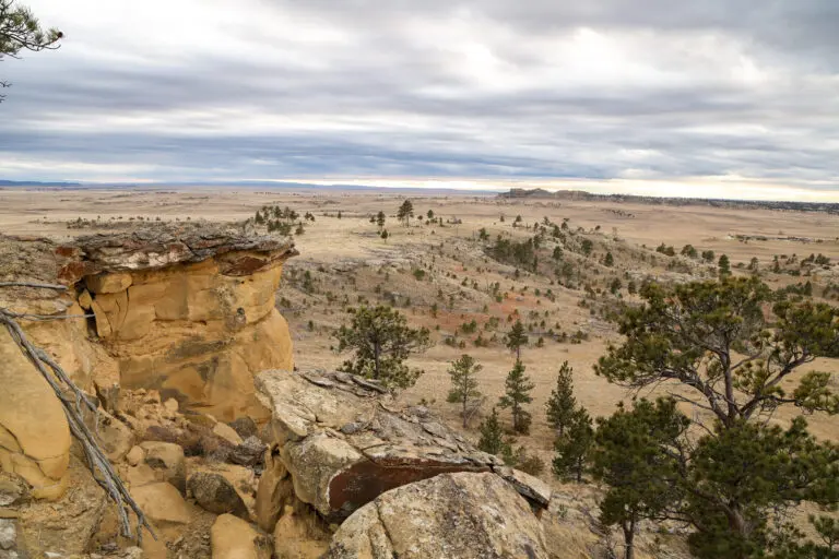 10_8f4a5ec4-ef18-4a54-9f82-bf7315c0d5df