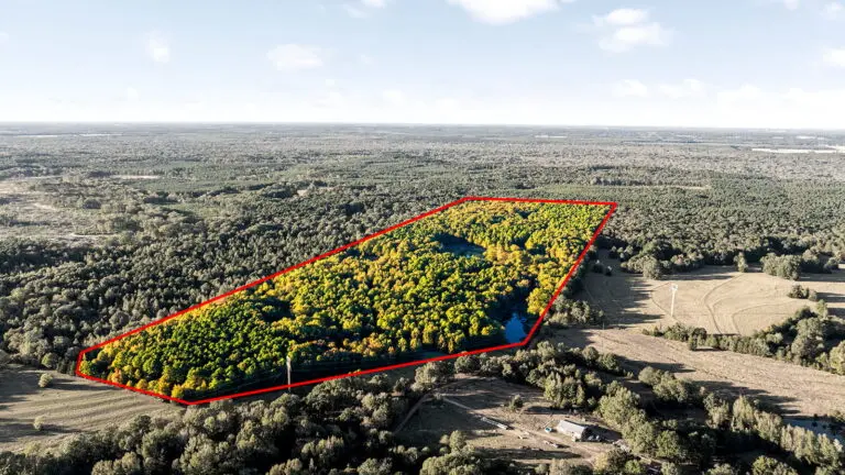 11_32b44306-da3f-423e-a6b2-d8dda2e28a08