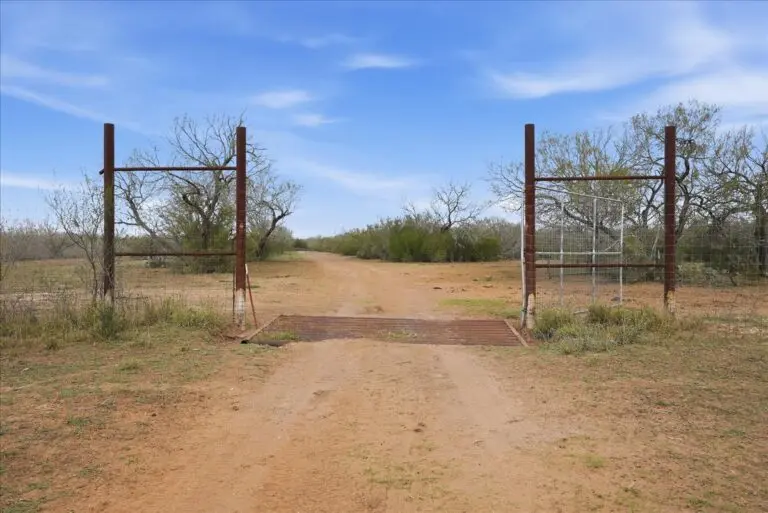 11_aa594f2f-b477-427a-922b-6be134bbe4f2