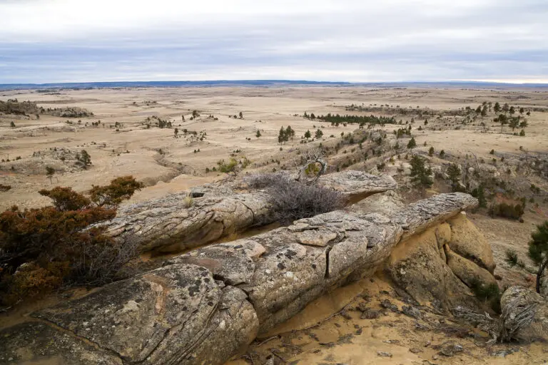 11_af499192-6182-4752-8cd5-43819b691d00