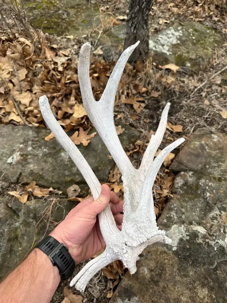 11_b3b64fef-30eb-4859-b4ee-54ae9fd17688